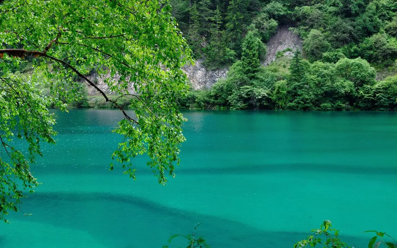 先进信息化高质量